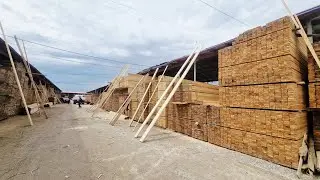 Сурхандарё кизирик тахта бозори 2026 йилда 