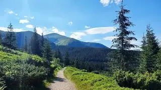 В гори прийди до мене - Вячеслав Макаринцев