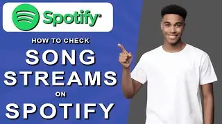 How to check song streams on spotify (2024)