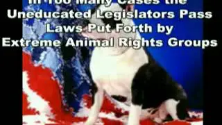 We the Animals: Legalize the Constitution