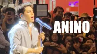 ANINO - Stell Room Tour Ayala Malls Market! Market!