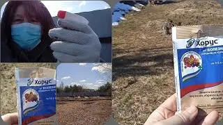 КАК НА ВСЁ ЛЕТО ИЗБАВИТЬСЯ ОТ БОЛЕЗНЕЙ В САДУ Чем опрыскать сад.