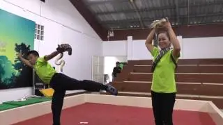 шоу со змеями
