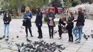 Dominion кормит голубей (2)