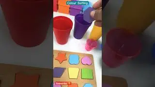 Colours | Colour Sorting | Colour Recognition | Educational Videos for Kids