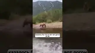 Огромный Медведь чуть не догнал туристов и..