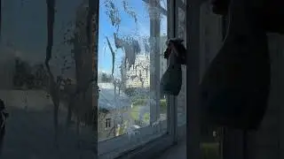 чистые стекла вместе с 