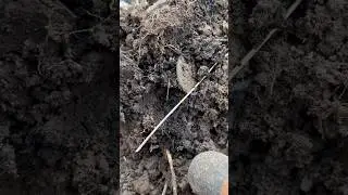🔥НЕРЕАЛЬНЫЙ СОХРАН ИМПЕРСКОЙ МОНЕТЫ😱 