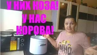 HOW TO MAKE CHEVRE CHEESE at home using Bioantibut sourdough//Chevre dough - part 1