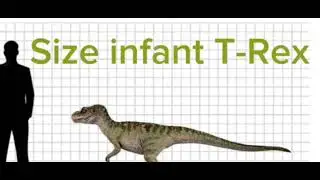 How Big Is Junior,Rexy,And Indominus Rex