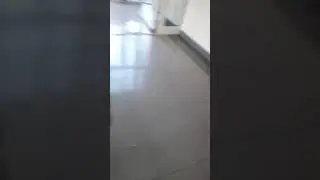 Школа школа 😂🤣