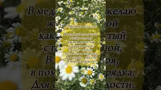 14 августа - Медовый Спас #видеооткрытки #природа #открытки #праздник #медовыйспас #песня #лето