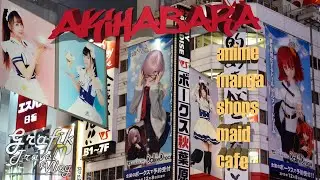 Акихабара, аниме, манга магазины, пробуем street фуд такояки