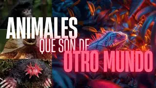 TOP: 5 Animales Extraños que no conocías