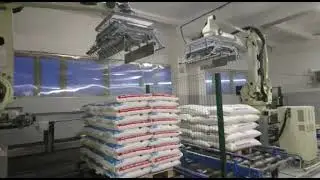 Nachi Robotic Palletizer for Stacking Flavor Paper Bag