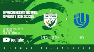 Оргхим Dream - ННГУ имени Н.И. Лобачевского