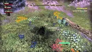 ESO: Clothier survey II Craglorn