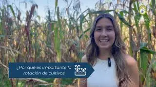 Rotación de cultivos