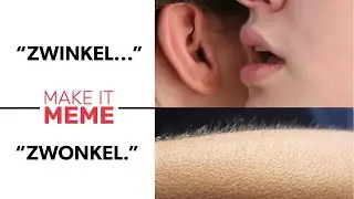 MEMES mit GÄNSEHAUTFAKTOR! | Make it Meme