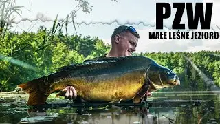 WIELKIE KARPIE Z PZW! TO BYŁ SZOK!