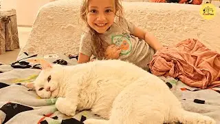 The Cat No One Could Touch, Not Even Her Mom. Until a Little Girl Came Along