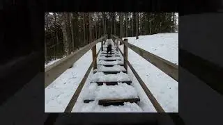 Sietiņiezis