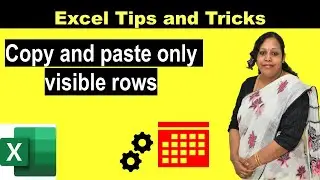 How to copy and paste visible rows and columns