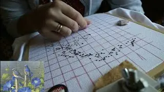 ВЫШИВКА И НЕ ТОЛЬКО/+ МОТИВАЦИЯ НА РУКОДЕЛИЕ/ДАВНО СТОЛЬКО НЕ ВЫШИВАЛА/НОВЫЙ СТАРТ/АННА АНАНЧИК