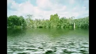 【月色思恋--萧 3个小时】 fatigue relief music  轻音乐 钢琴音乐 -  疗愈音乐 - 放松解压,放鬆身心,輕音樂 ,適合放鬆,療癒,舒眠,減壓 ,读书