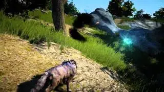 Black Desert (Beta)