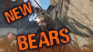 Rust | New Bears !!