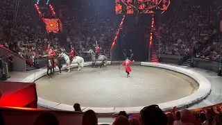 Конный аттракцион п/р Якова Экка. Идол-2024