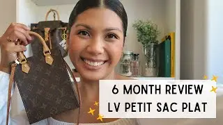LOUIS VUITTON PETIT SAC PLAT - 6 MONTH REVIEW | Michelle Orgeta