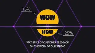 Infographic Animation | WOW HOW WE DO IT