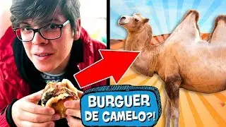 Comi CARNE de CAMELO 🐪 e CIDADE toda AZUL 💎 | Vlog Marrocos