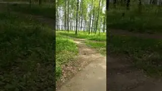 Прогулка