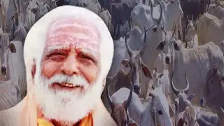 live ਬਰਸੀਂ ਗ‌ਊਸਾਲਾ ਸੰਤ ਆਸ਼ਰਮ ਨਹਿਰ ਵਾਲੀ ਬੱਧਨੀ ਕਲਾਂ #badhnikalan #barsi_samagam#live #katha