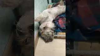 на расслабоне
