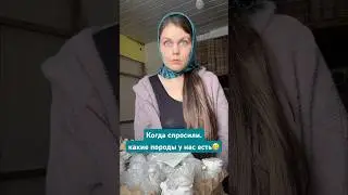 У нас более 150 прекрасных пород