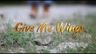 Give Me Wings