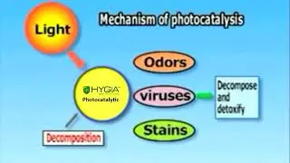 Mechanism Photocatalysis