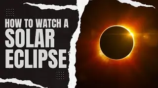 Solar Eclipse Viewing(The Tree Method)