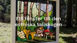 Ett fönster till den estniska tallskogen | Klar