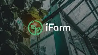 Вертикальные фермы iFarm
