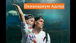 #glebozavrik #глебозаврик Рыбы плавают над головой/Океанариум Адлер Sochi Discovery World Aquarium