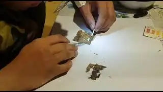 Поисковики нашли медальон