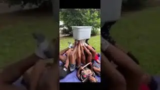 Must watch Funny videos | family comedy| challenging family | family game| Must watch comedy 2021|