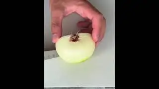 Так резать лук намного удобнее 👆This makes cutting onions much faster and more convenient 👆
