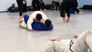 White belt on white belt