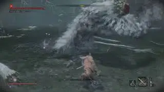 Guardian Ape